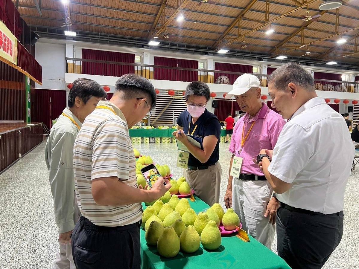 台南市文旦大賽邀請柑橘類學者專家及採購端的專家擔任評審委員，進行果品外觀、風味等評鑑，是被認定最公正且最嚴謹的文旦評選。評選委員有嘉義大學呂明雄榮譽教授、李堂察榮譽教授、林明瑩副教授及臺南區農業改良場張汶肇副研究員、農試所嘉義分所陳祈男副研究員，以及福和生鮮農產股份有限公司鄭順隆採購經理。 圖：台南市政府提供