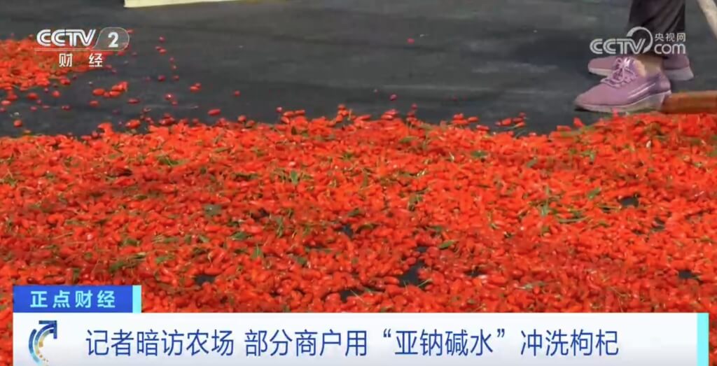 中國青海與甘肅的枸杞生產違法加工，以增色澤，容易造成腎功能不全及衰竭、多發性神經炎、肝功能損害等。 圖：翻攝央視
