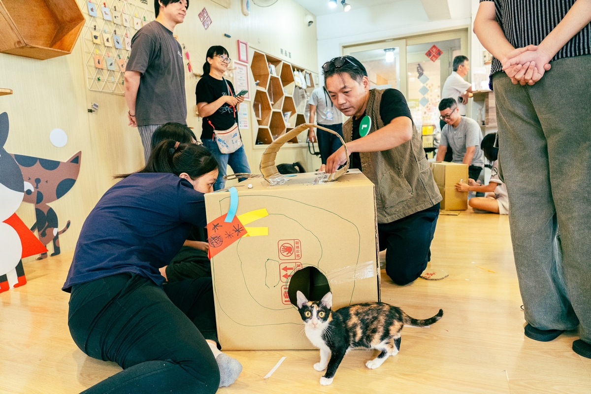 「貓窩職人好吃驚」挑戰打造喵星人喜愛的貓窩。 圖：高雄市農業局提供