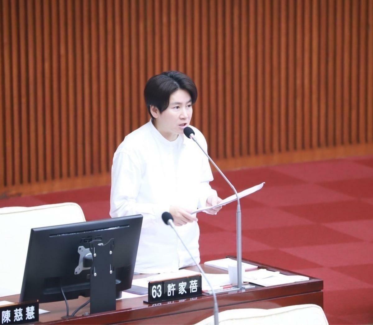 民進黨台北市議員許家蓓癌逝，享年48歲。 圖：台北市議會民進黨團提供