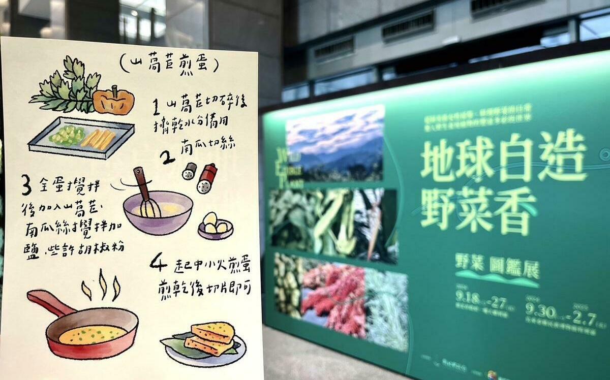 來自山海的原味 阿美族「野菜教母」傳遞原民採集文化知識