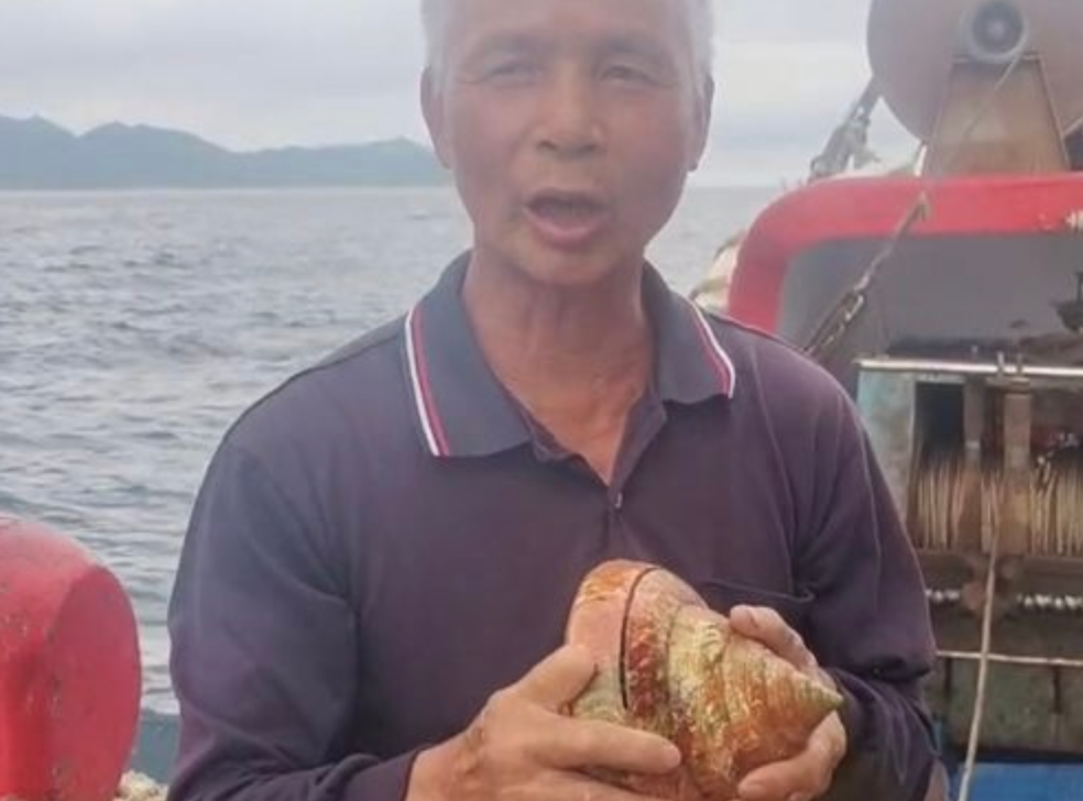 林天明日前在龜山島外海意外捕獲稀有活化石「龍宮貝」。 圖：翻攝畫面