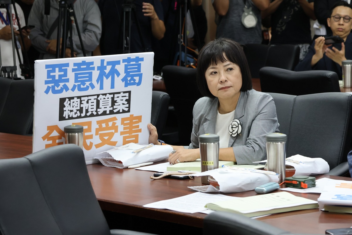 林月琴指出，國民黨、民眾黨兩份覆議案內容「文字完全一樣」，還硬要分兩案，是多怕被人知道「民眾黨就是小中國國民黨？」 圖：立法委員林月琴辦公室/提供（資料照）