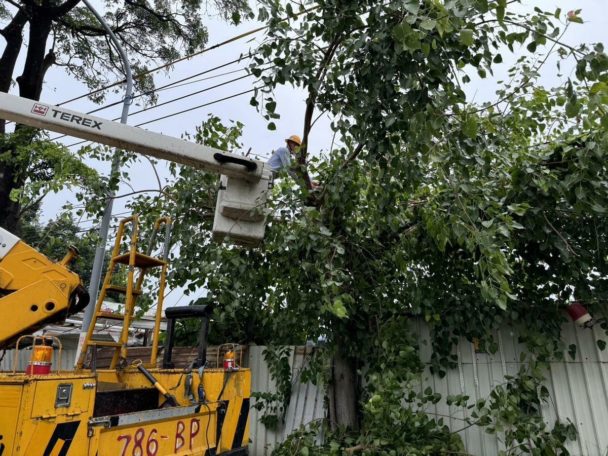 台電人員加強修剪樹枝防颱。 圖：台電鳳山區營業處提供