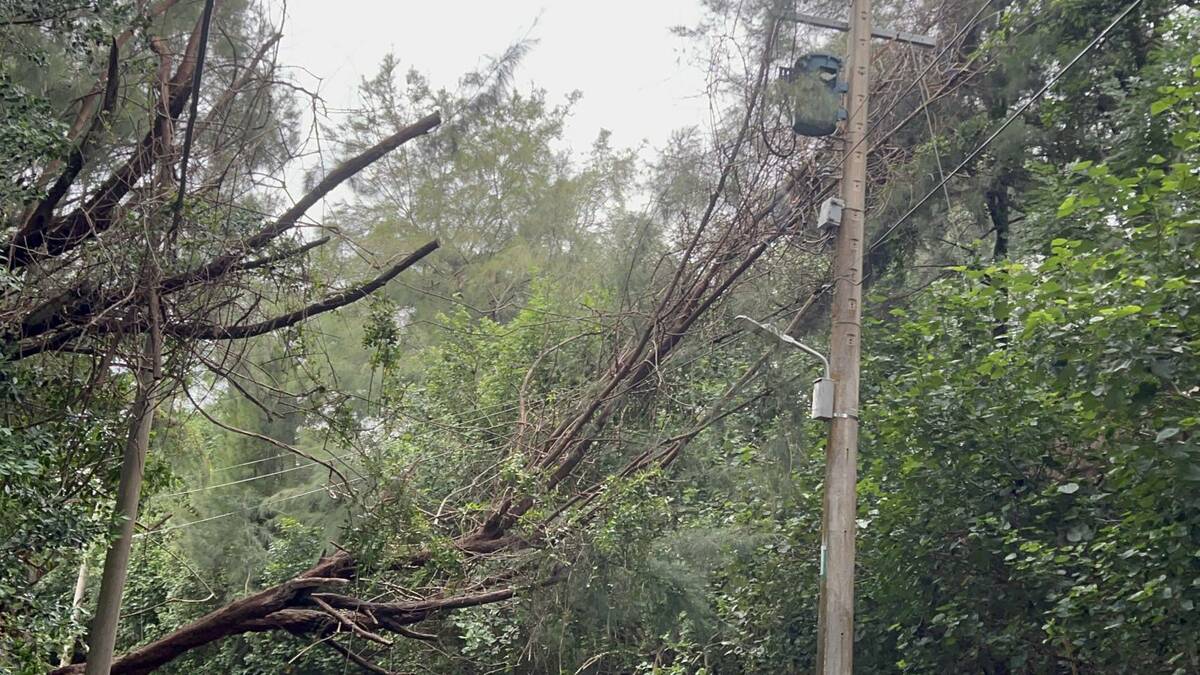 山陀兒颱風強風豪雨造成台電饋線跳脫，引發停電事故。 圖：台電桃園區營業處／提供