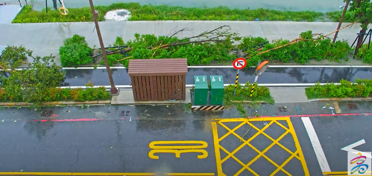 根據高雄旅遊網即時影像，高雄蓮池潭路樹已被吹到倒塌。 圖：翻攝自高雄旅遊網即時影像