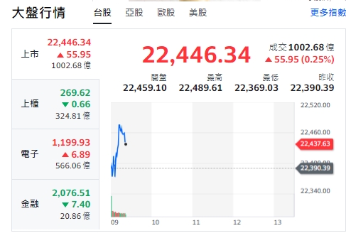 台股今天(4日)開盤走跌，隨後揚升，最高來到22489點。上櫃(中小型股)早盤走跌與金融股走跌。電子類股開紅、漲勢。 圖: 擷取自yahoo台股走勢圖