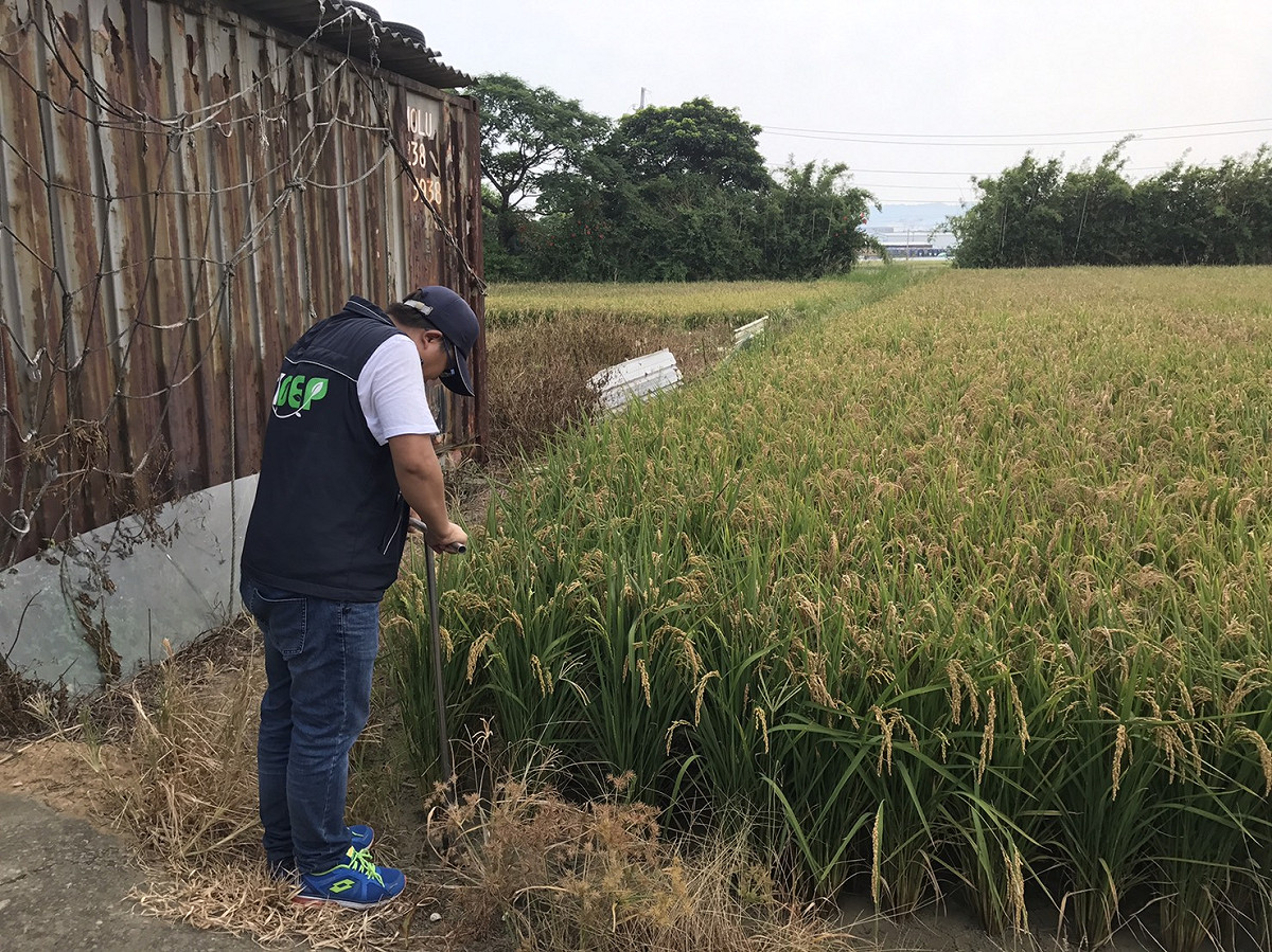 桃園市政府環保局今天派員前往大園區、蘆竹區交界處的滲眉埤周邊土地作採集檢測。 圖：桃園市政府提供