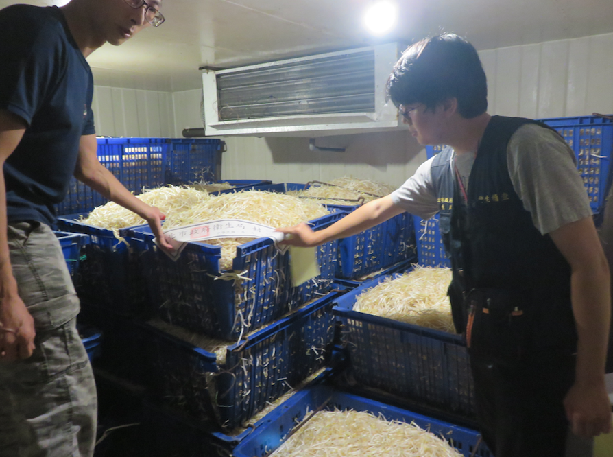 新北市衛生局當場查封上千公斤的漂白豆芽菜。 圖：新北市衛生局/提供