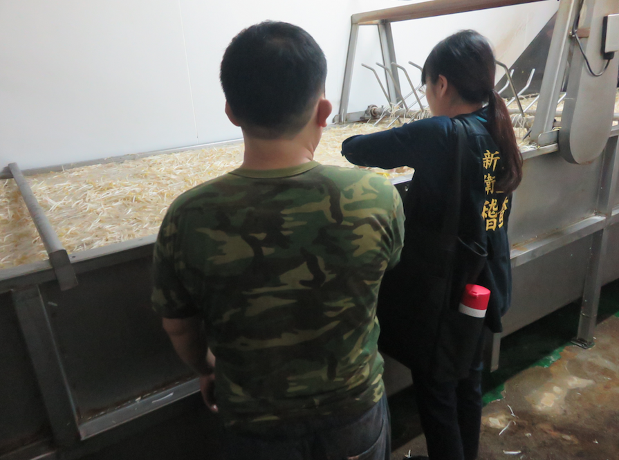 新北市衛生局正在對豆芽菜作快篩，結果呈現陽性反應。 圖：新北市衛生局/提供