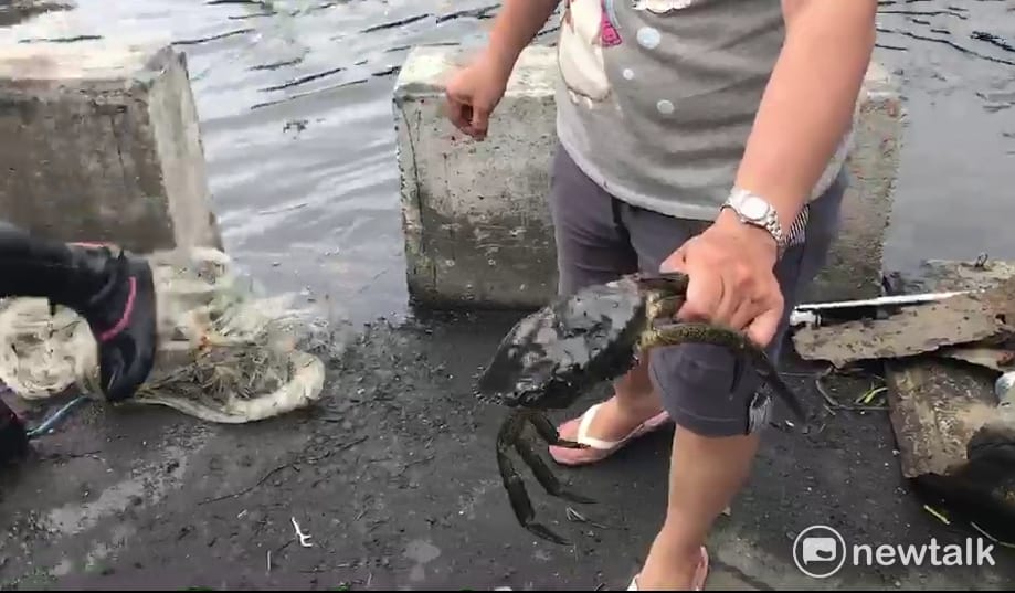 中國近期出現一種「甲殼類謎之病毒」在沿海地區快速傳播，至少11個省市的蝦類養殖場都相繼爆發疫情。（示意圖） 圖：民眾提供
