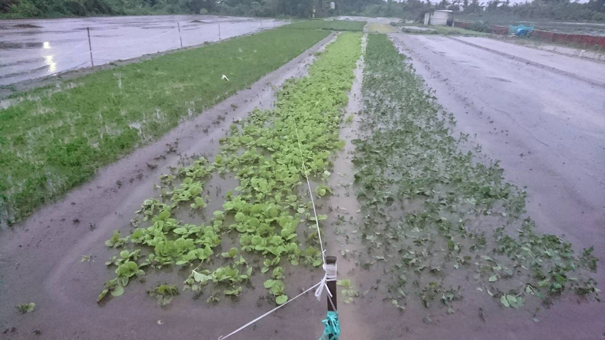 西南氣流給南台灣帶來豐沛雨量，已達大豪雨等級，高雄市已陸續顯現災情。 圖：高雄市政府提供