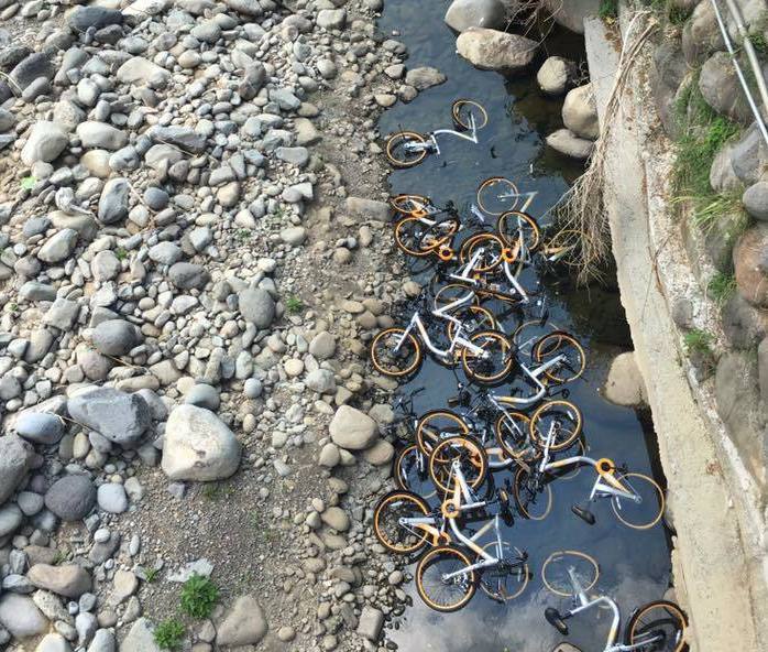 新北市長朱立倫今天提醒民眾不要把Obike丟到河川、水溝，強調市府不容許這種行為。 圖：網友提供