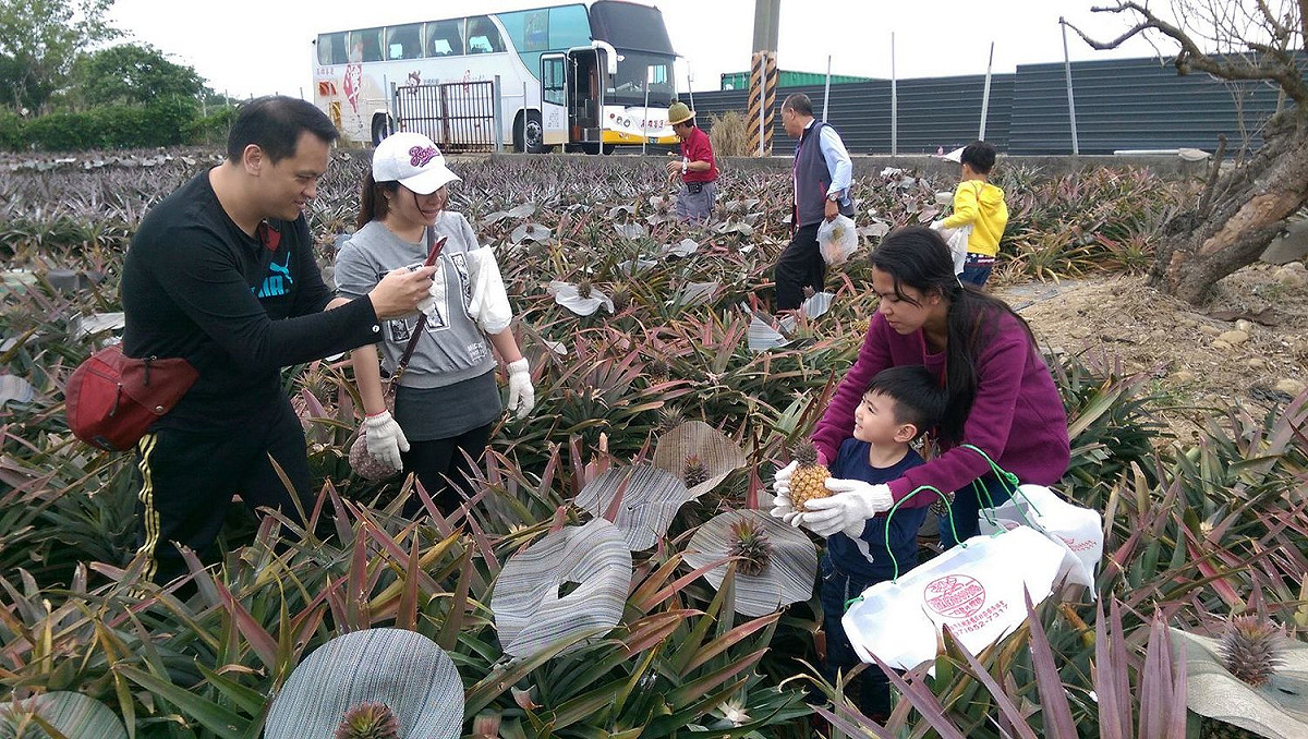 高雄市農業局為引導學童走入農村，規畫了三場特別的高雄一日農夫食農教育體驗活動。 圖：高雄市農業局提供