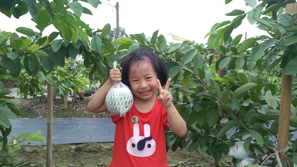 以趣味遊戲方式，讓孩子們將豐富的農業知識帶回家。 圖：高雄市農業局提供