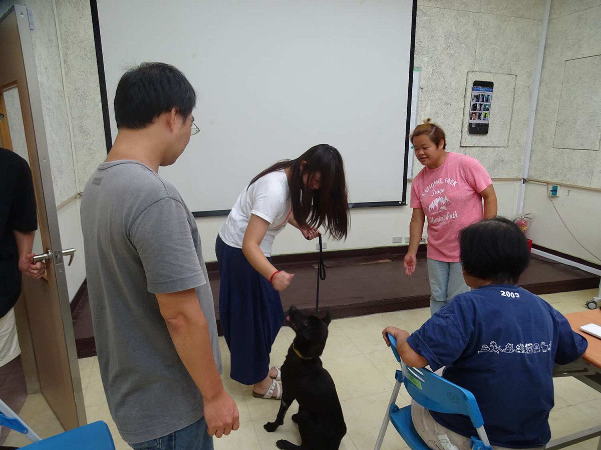 台北市動物保護處將舉辦「動物認養先修班講座」，請專業的獸醫師及訓練師，替有心想給毛小孩一個家的民眾，提供正確的寵物照顧知識。 圖：台北市動物保護處
