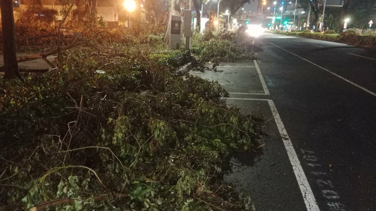 高雄仍有路段有未清理的樹枝占用停車位，甚至影響夜間慢車道機車通行。 圖：孫家銘攝