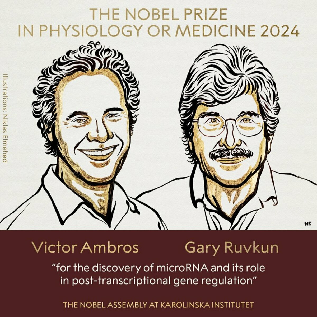 2024諾貝爾醫學和生理學獎得主：美國學者安布羅斯(Victor Ambros)及魯夫昆(Gary Ruvkun)。 圖：翻攝「X」@NobelPrize