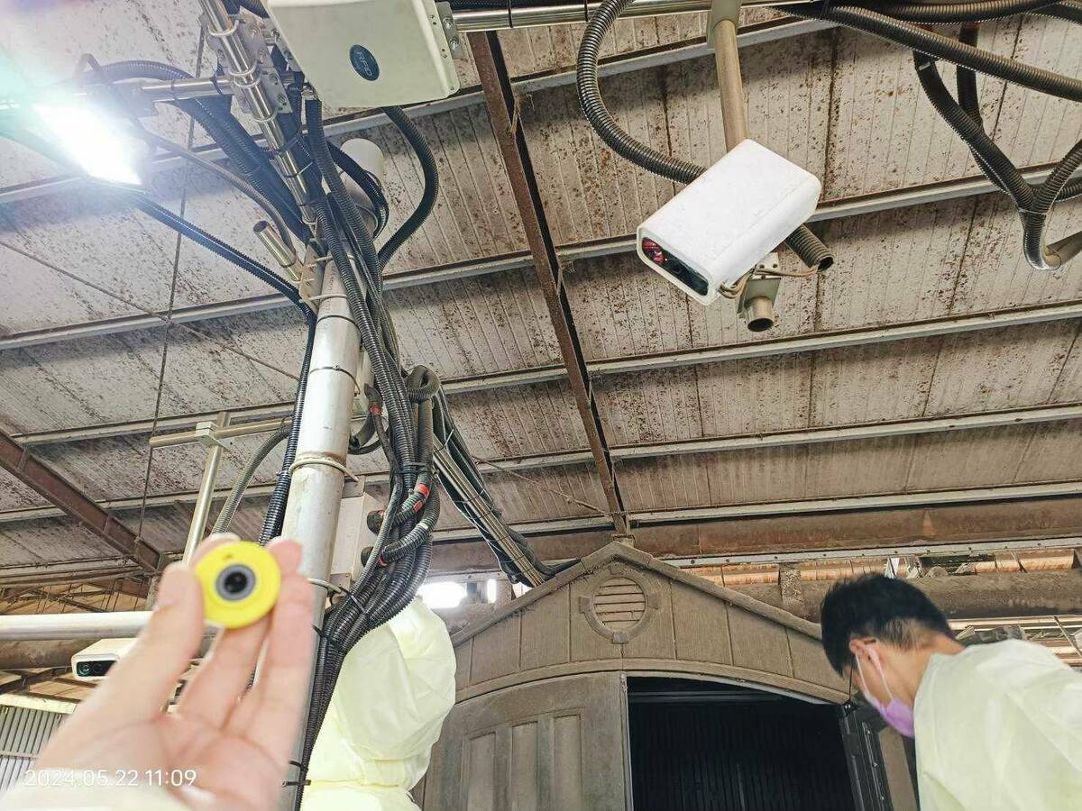 農業部與工研院開發的AI「乳牛選美」系統，已在台南桂芳牧場成功測試，這是全國首個3D乳牛體態量測系統。 圖：農業部畜產試驗所 ／ 提供