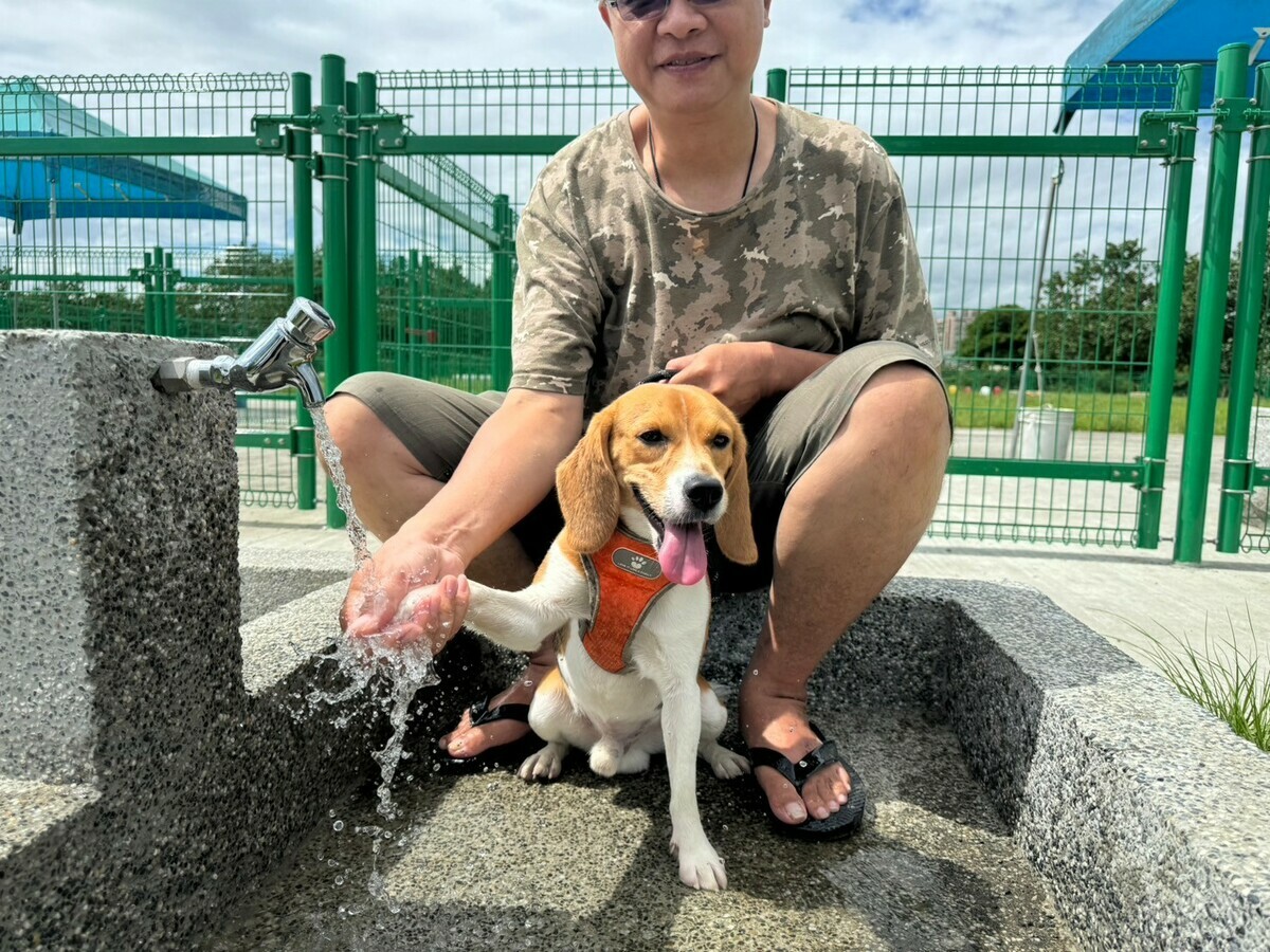 浮洲寵物公園設有毛孩專屬洗腳台。 圖：新北市政府高灘地工程管理處／提供