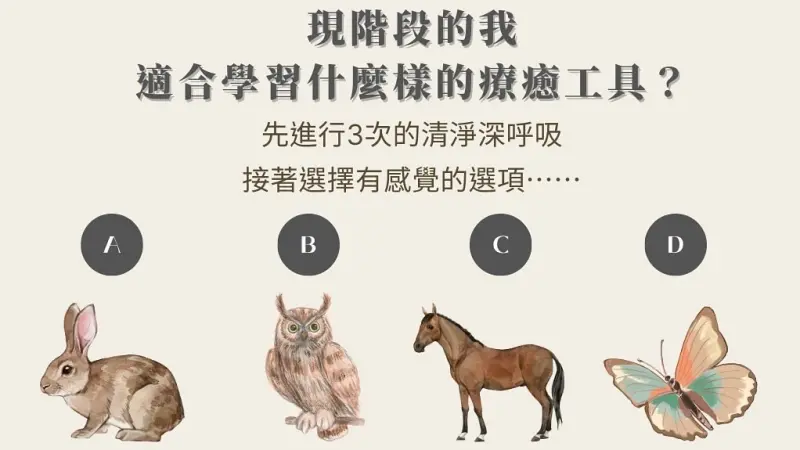 秋冬想多嘗試學習「療癒工具」，又不知道怎麼選擇最適合自己。名日文化分享珊妮療癒所的神準大眾占卜測驗，請憑感覺選擇兔子、貓頭鷹、馬、蝴蝶其中一種動物，測出你最適合什麼樣的「療癒工具」。 圖：名日文化提供