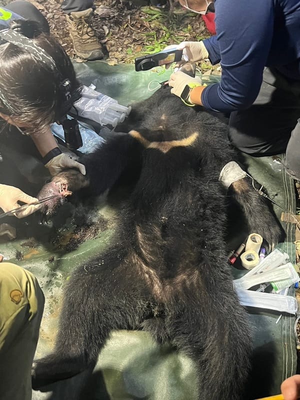 屏東科技大學保育類野生動物收容中心執行檢傷救傷工作。 圖：林業及自然保育署屏東分署／提供