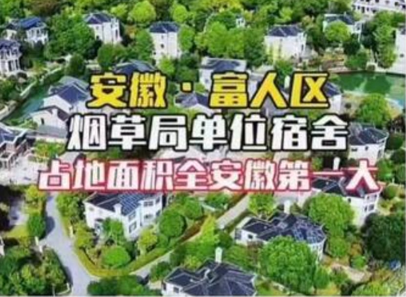 安徽合肥煙草公司宿舍，全部都是依湖而建的獨棟別墅，最小的房子也有 600 多平方公尺。 圖 : 翻攝自X /羅翔