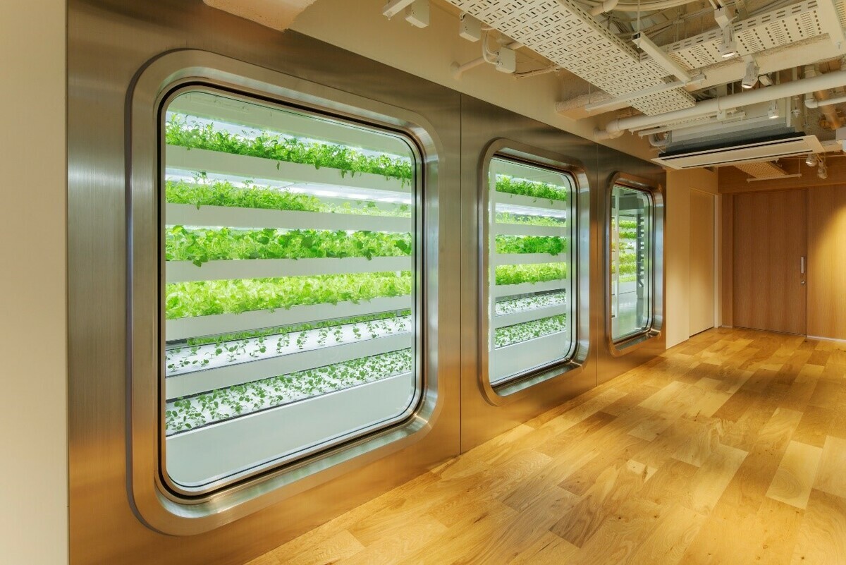 水耕栽培的蔬菜工廠FARM。 圖：© 銀座 伊東屋／提供