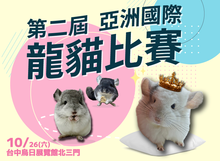 「第二屆亞洲國際龍貓比賽」於10月26日在台中烏日展覽館盛大登場。 圖：主辦單位/提供