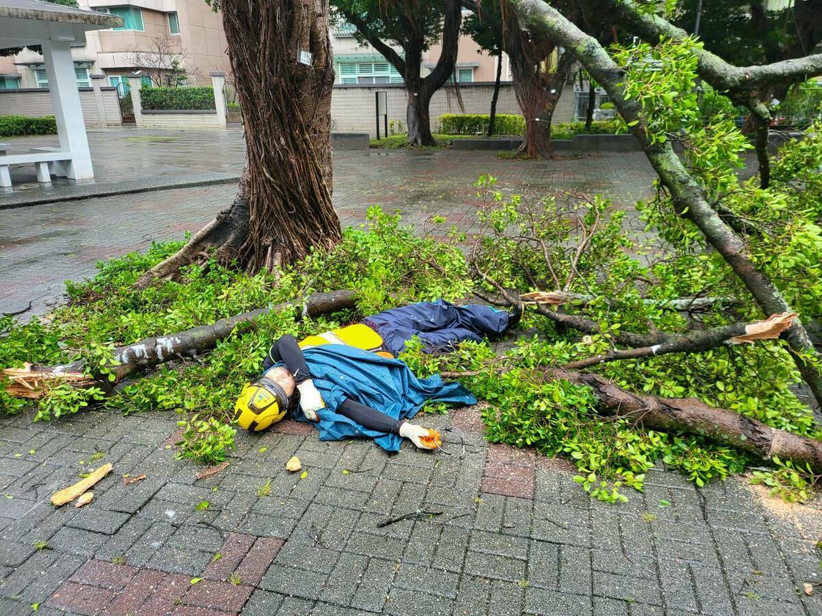 北市工務局公園處工程人員搶修不慎受傷。 圖：台北市工務局公園處 / 提供