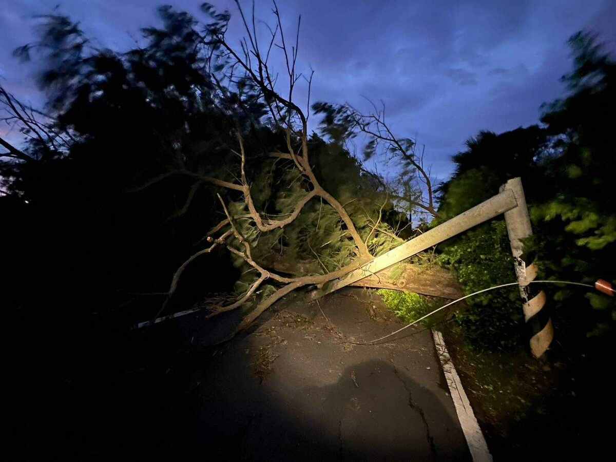 康芮颱風造成路樹壓毀電線桿，增加台電搶修難度。 圖：台灣電力公司／提供