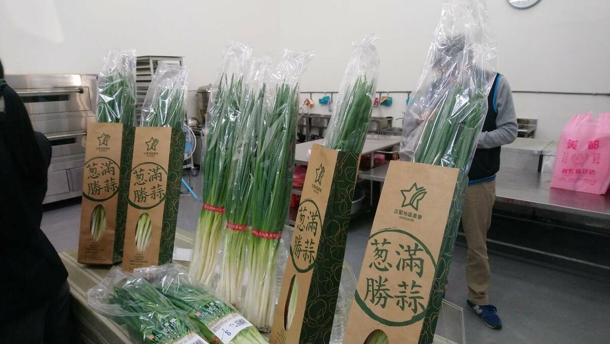 三星蔥示意圖。 圖：農糧署東區分署／提供