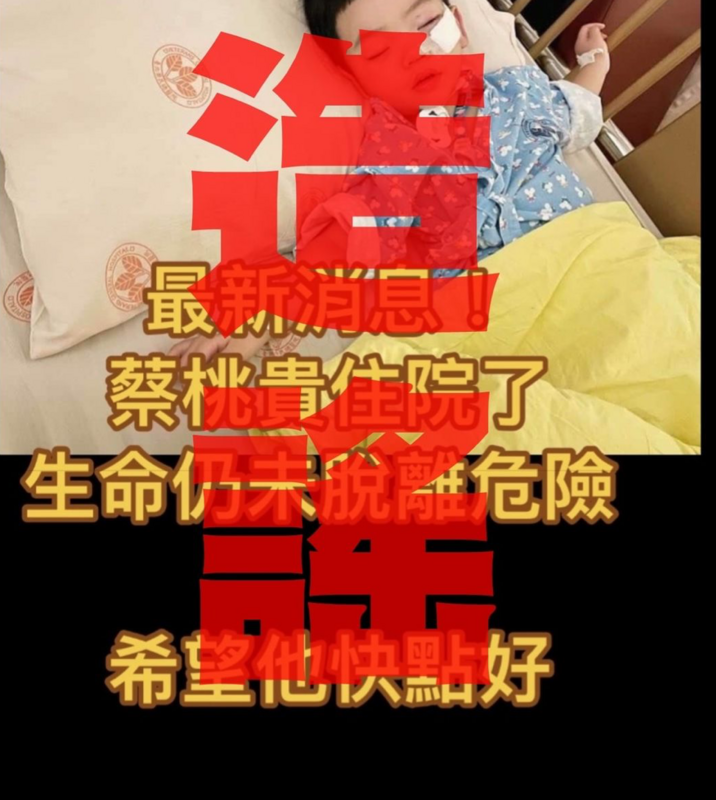 近期網上盛傳，蔡桃貴住院命危的消息。 圖：翻攝自蔡阿嘎IG