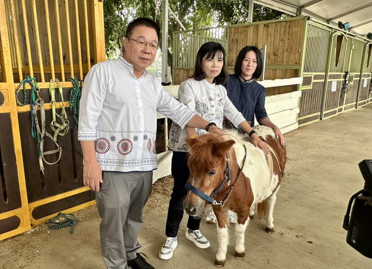 台南市議員蔡淑惠、蔡育輝、李中岑表示，一群流浪狗侵入黃金海岸附近馬場並發動兩波攻擊，導致馬兒三死三傷。 圖：國民黨團提供