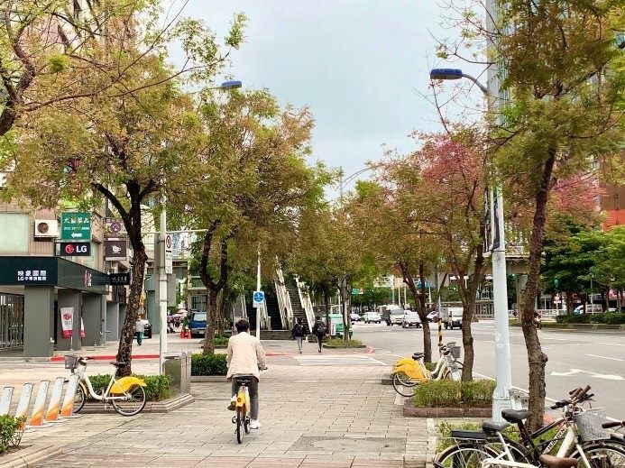 西門町中華路綠帶的林蔭大道以黃連木、大王椰子等喬木為主，串聯西本願寺、西門町、北門等景點，讓城市綠廊瀰漫秋天浪漫。 圖：翻攝自台北市立公園處官網