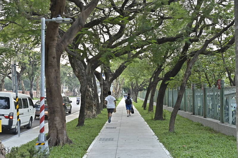 台積電位於高雄楠梓產業園區的P1晶圓廠，隨著廠房建設完成並舉行裝機祈福典禮，預計將於2025年正式投產。與此同時，高雄市政府加速推進園區周邊道路和人行環境的全面改善，提升廠區交通便捷性與景觀品質。 圖：工務局 / 提供