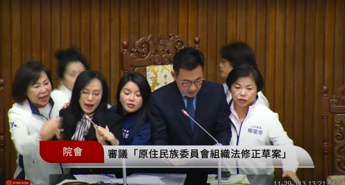 立院審查原民會組織法，國民黨團提案停止討論，遂即爆發藍綠衝突。 圖：翻攝自國會頻道