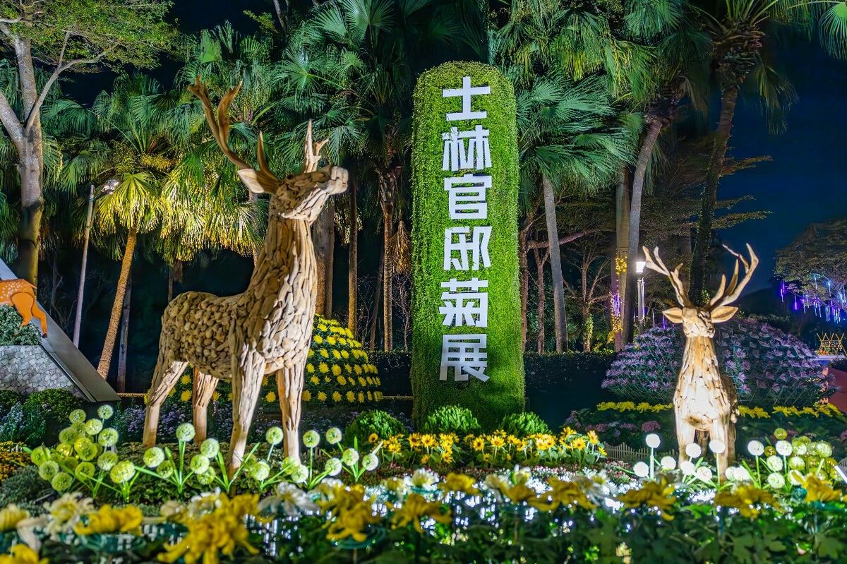 今年首度開放夜間賞花，別具一番特色。 圖：台北市政府公園處／提供