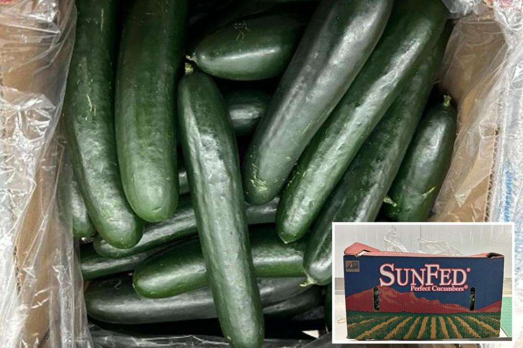 美國亞利桑那州的農產品公司 SunFed Produce 已主動召回疑似受沙門氏菌污染的小黃瓜。 圖：翻攝自X / @nypost