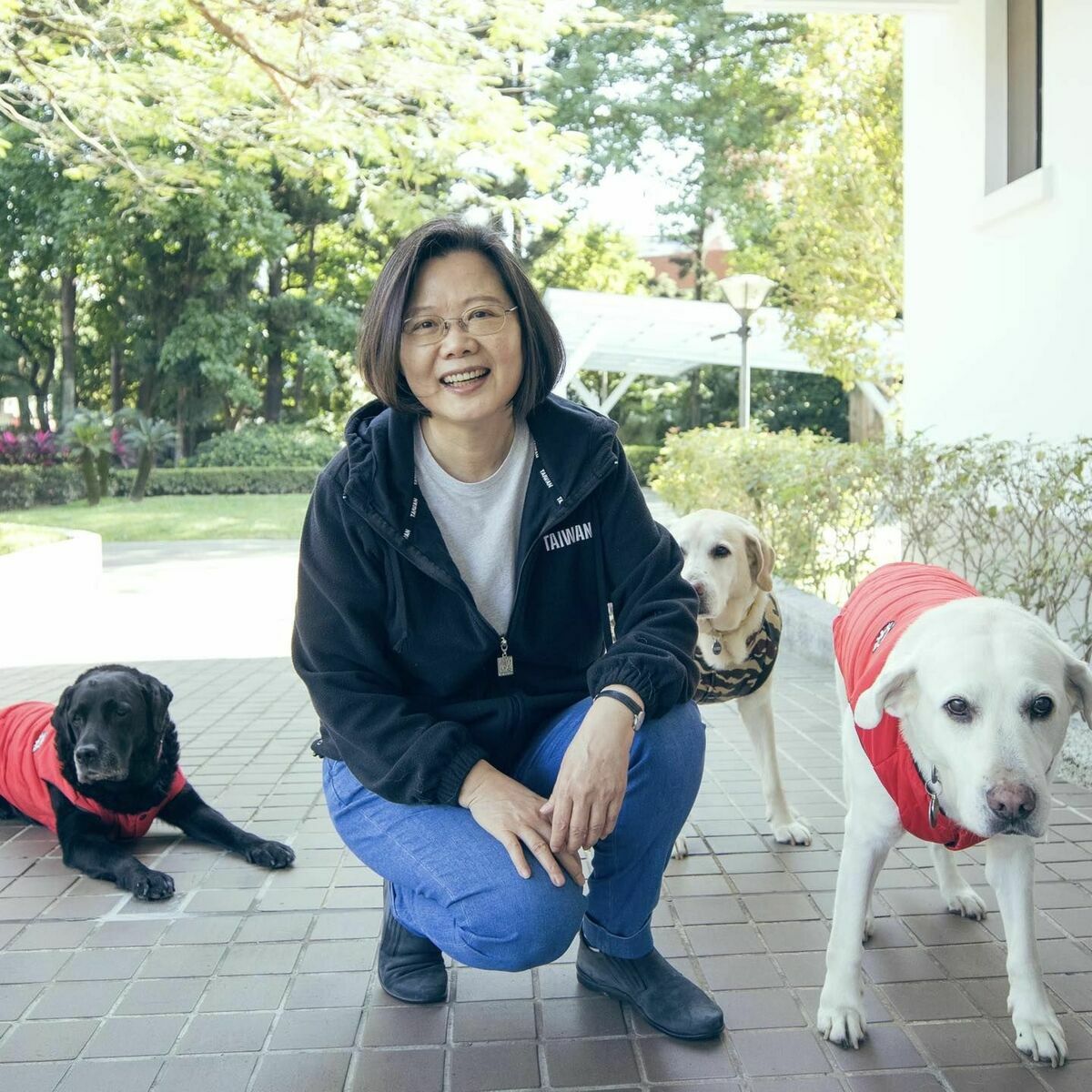 蔡英文家中的導盲犬過世。 圖：翻攝蔡英文臉書