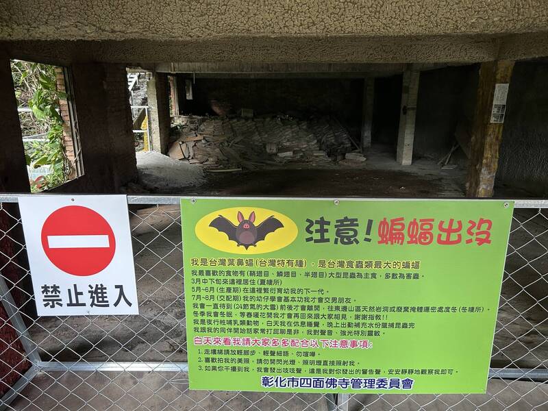 四面佛寺在蝙蝠棲地周圍搭設柵欄，並張貼警示標語提醒遊客注意生態保育。 圖：林峻毅／提供