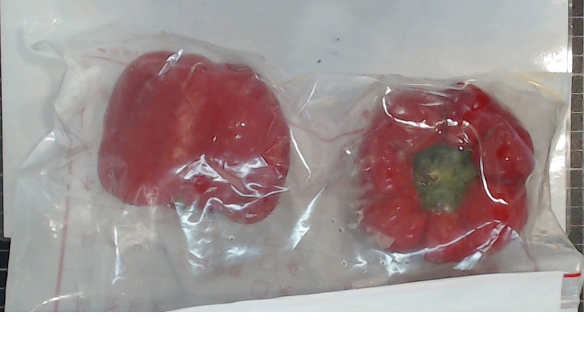 新鮮水果行的彩椒被驗出殺蟲劑可尼丁超標 圖：台北市衛生局提供