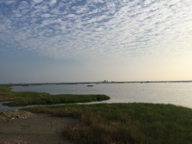 為保留濕地，並發展太陽光電，研究團隊提出替代場址的方案。 圖：翻攝成功大學網站