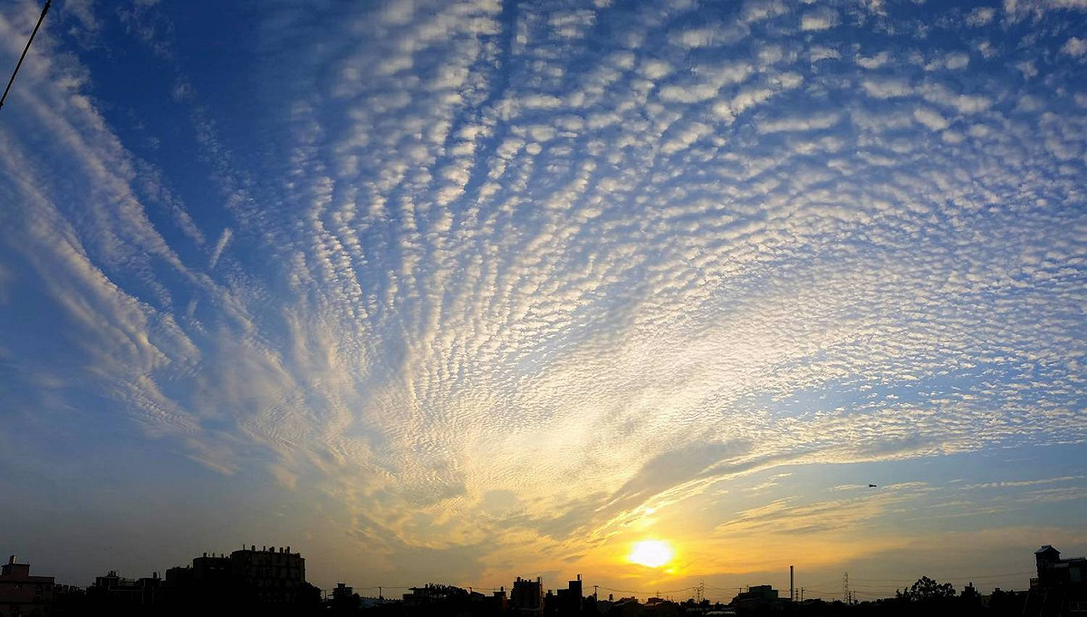 今天各地大多是晴朗炎熱的好天氣，中央氣象局預報中心主任鄭明典在FB轉貼網友拍攝的高積雲照片，高積雲大多出現在晴朗無雲的穩定天氣。 圖：翻攝自鄭明典FB