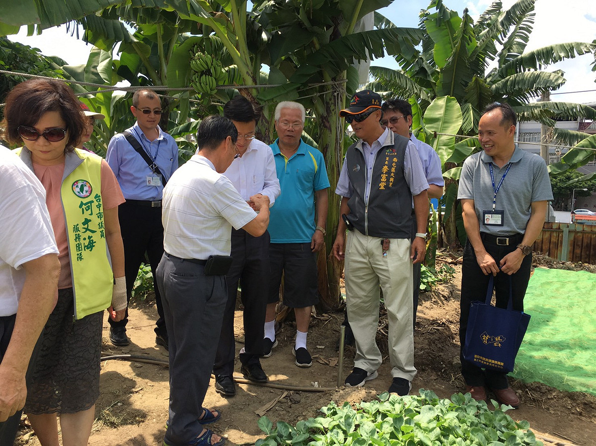 台中市環保局決定將南屯清潔隊位於水肥廠後方約120坪大的愛心農園免費給大興里民認養，作為當地銀髮族長輩的養生菜園。 圖 : 台中市政府/提供