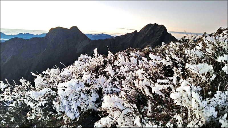 極低溫環境讓玉山出現難得的「霜淞」景象。 圖：中央氣象署／提供