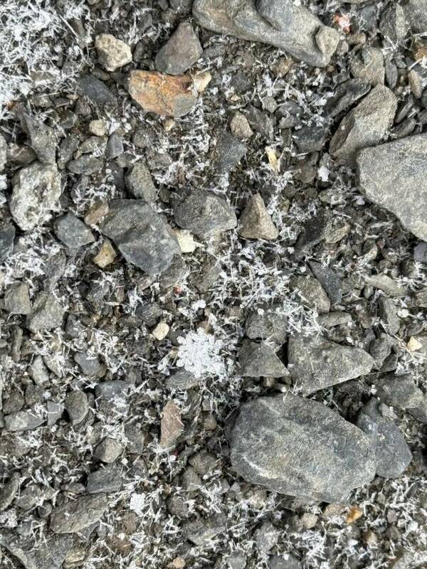 玉山氣象觀測站周圍地面上的雪花雖細小，但形狀清晰可見。 圖：中央氣象署／提供