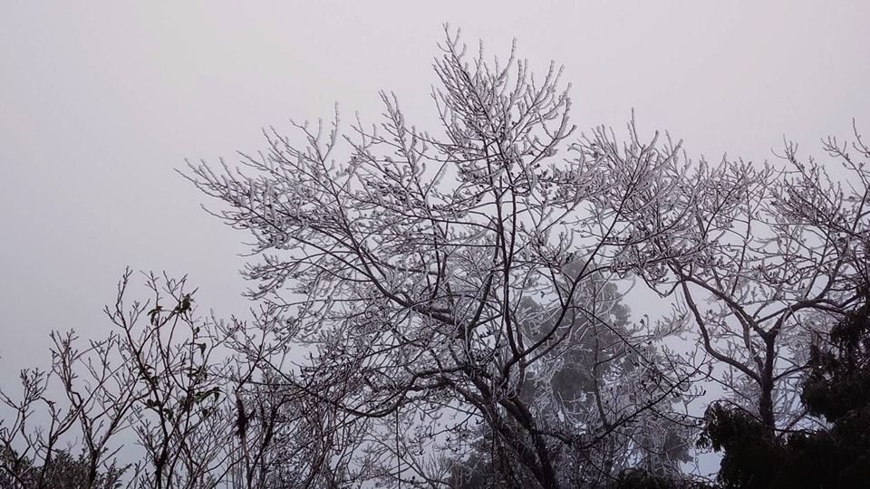 受大陸冷氣團低溫影響，太平山莊和翠峰湖等區域陸續出現霧淞現象，是冬季限定的絕美景色。 圖：翻攝自太平山國家森林遊樂園區臉書