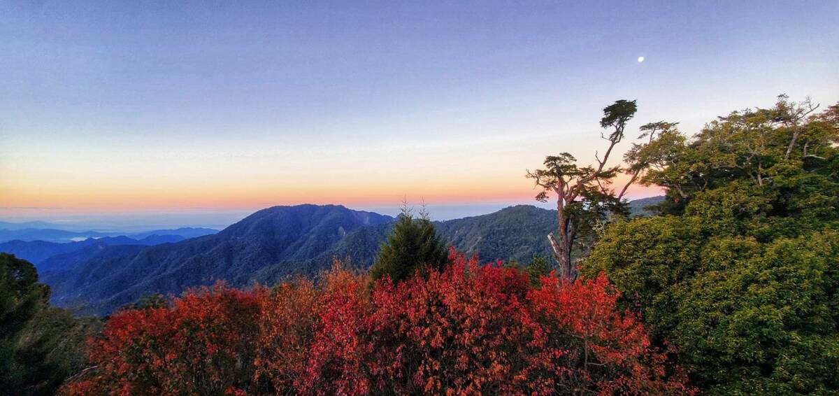 遊客中心觀景台楓紅與山巒。 圖：林業署台中分署／提供