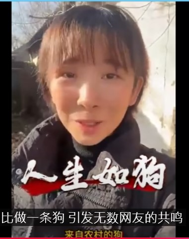 近日中國河南網紅，以方言念誦的形式演義通篇押韻的寓言文章「人生如狗」，映照出無數打工者在中國經濟下行中的艱難與無奈。 圖: 作者/提供